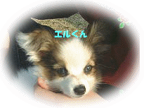 �G������